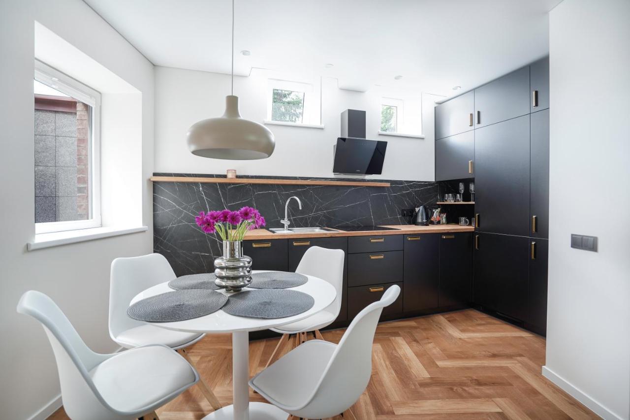 Exclusive Oldnew Apartments In City Center Panevėžys Buitenkant foto